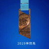 2019 神岡馬完賽紀念獎牌